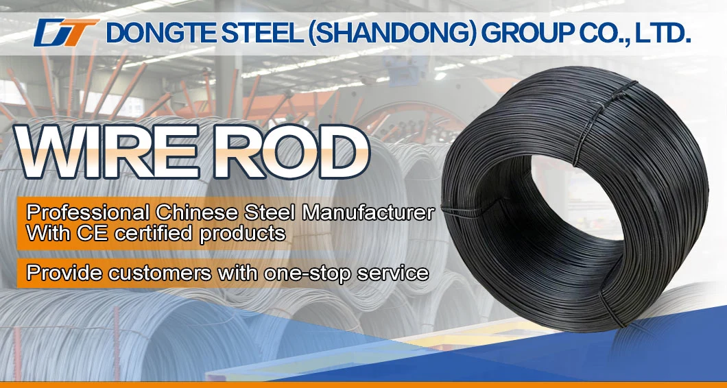 Low Carbon SAE 1006/SAE1008 Cold Heading Steel Wire Rod for Cold Drawn Wire, Nails Wire 4 Gauge Wire Rod 10b21 High Carbon Alloy Plain Wire Rod in Coil